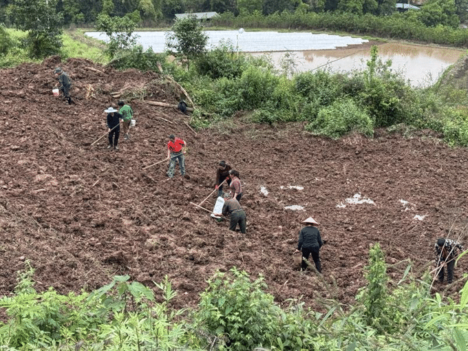 春耕一线显担当 议事代表助农忙
