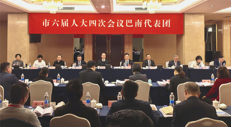 市六届人大四次会议巴南代表团举行全体会议 审议市政府工作报告