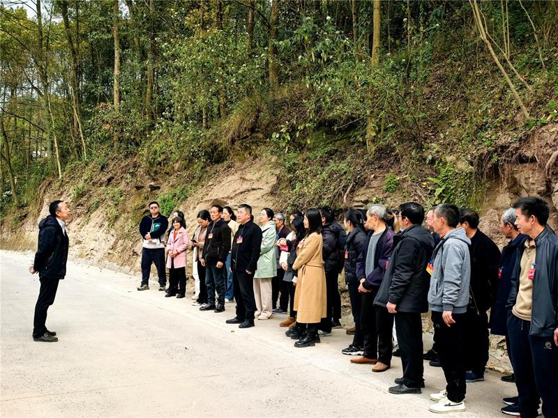 人大代表办实事 单月路拓宽惠民生