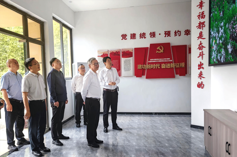 巴南区人大常委会视察乡村振兴工作