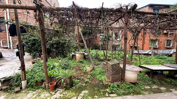 莲花街道：“闲置荒地”变“口袋公园”